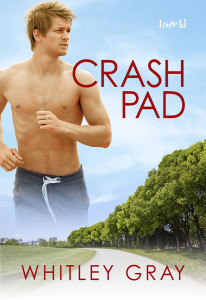 Crash Pad cover mock-up